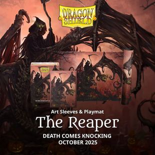 《言言》龙盾2025万圣节 FB联名 限定牌套 牌垫 万智牌 宝可梦