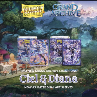 《言言》龙盾GA联名图案系列 比赛专用卡套 宝可梦万智牌等标准尺