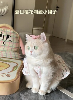 猫咪狗狗衣服浪漫粉樱刺绣公主裙吊带防掉毛布偶银渐层小型犬比熊