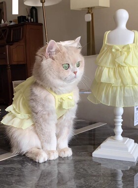 宠物猫咪衣服清香柠檬公主裙吊带防掉毛布偶德文金渐层背心小型犬
