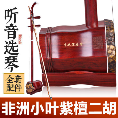 紫檀二胡专业演奏琴非洲小叶紫檀木成人儿童考级麻花螺纹轴二胡