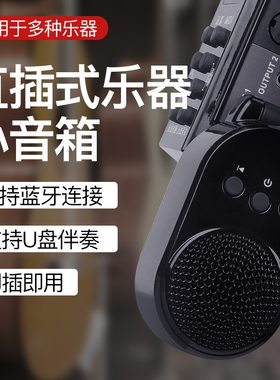 电吹管蓝牙伴奏直插式5W小音箱 雅思乐电吹管U盘伴奏舞台便携
