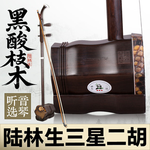 陆林生二胡三星黑酸枝二胡无锡林生二胡黑酸枝木专业演奏二胡琴