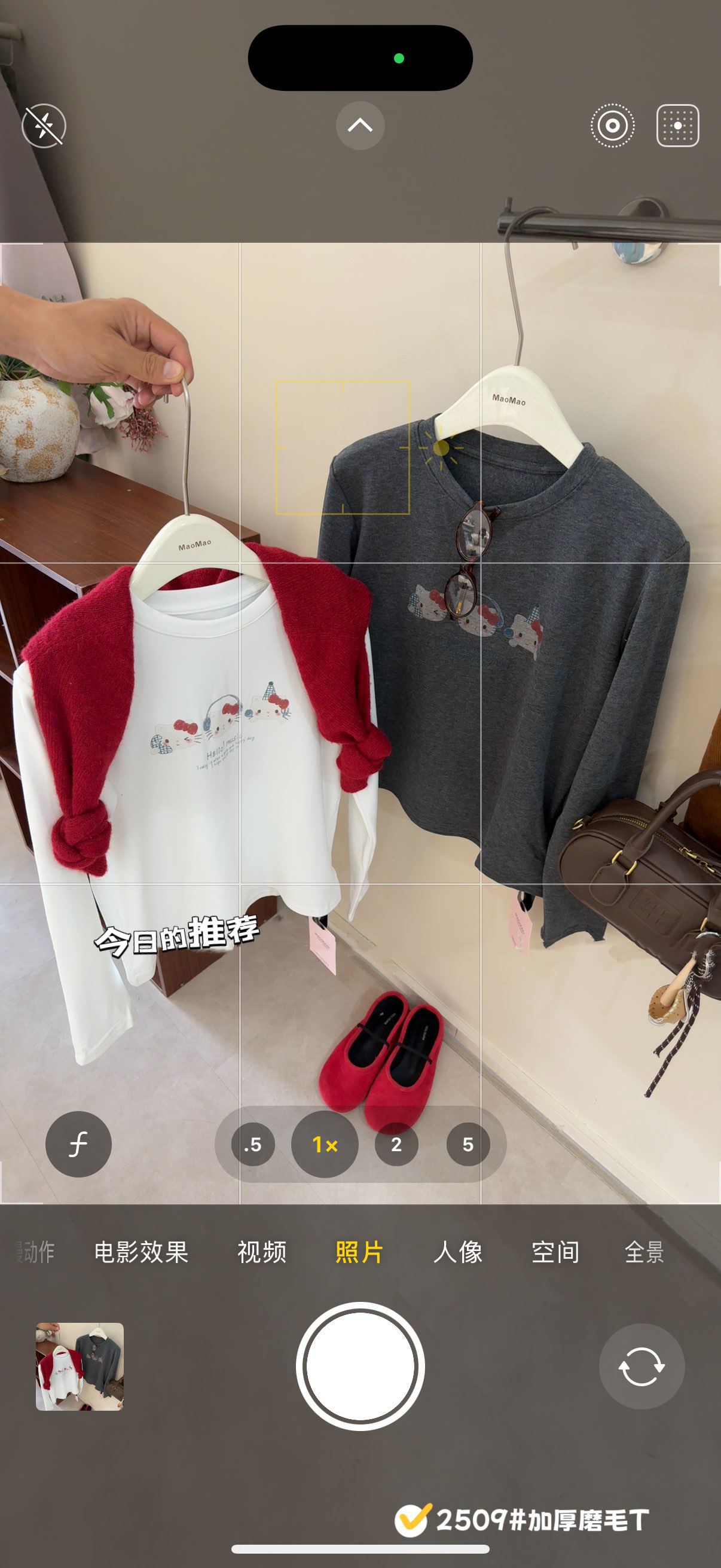 超可爱小猫咪印花纯棉磨毛正肩短款长袖T恤～厚实保暖舒适显瘦