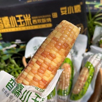 香糯小玉米安小糯精品A级现货