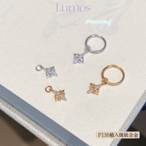 Lumos 鸢尾耳圈简约高级感F136钛合金耳圈耳扣杆粗1.0内径8mmT106