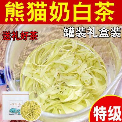 2026新茶熊猫奶白茶明前特奶香绿茶黄金芽中秋送礼罐装礼盒装茶叶