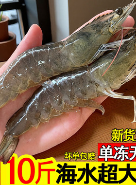 大虾鲜活冷冻2030基围虾特号青虾整盒白对虾明虾新鲜海捕水产岛