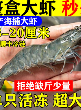 大对虾王鲜活速冻新鲜野生超大对虾大海虾青虾明虾海鲜水产包邮