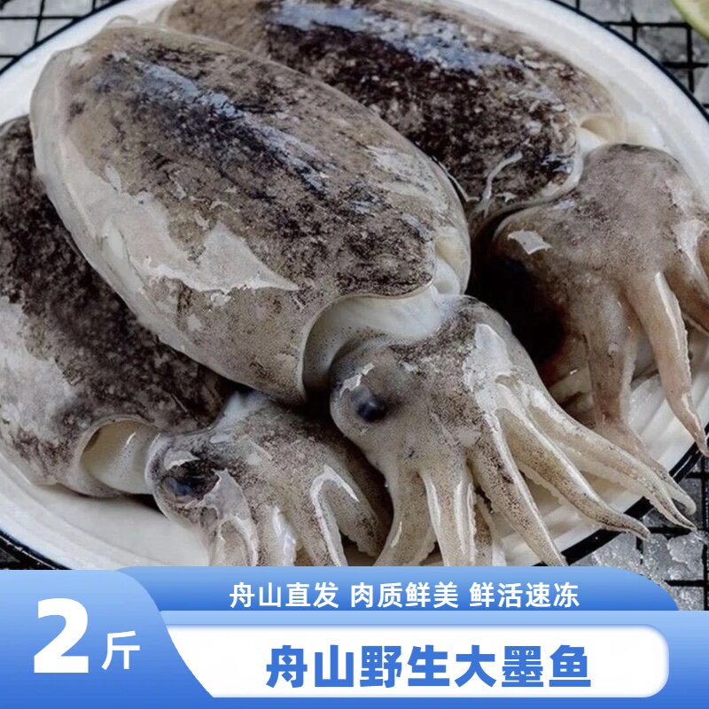 舟山野生大墨鱼新鲜活冻乌贼鱼整只发货
