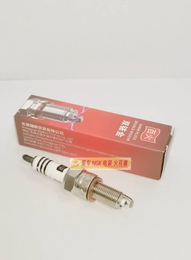 双铱金火花塞 适用于CPR7EAIX-9 摩托车铃木GW250/UU/UY/DL