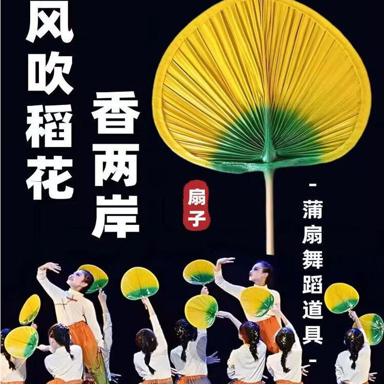 风吹稻花香两岸儿童演出服