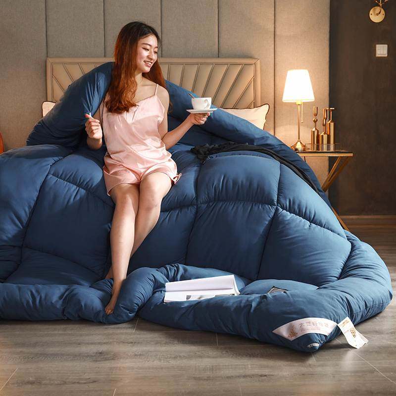 winter soft warm quilt comforter duvet cotton 冬棉被加厚被芯