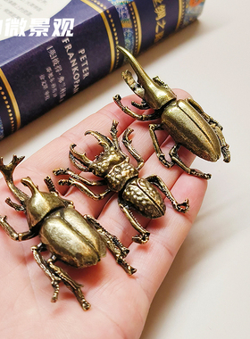 金属甲虫标本模型小摆件装饰品