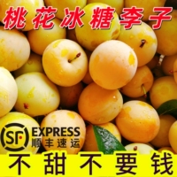 纯甜冰糖李子四川桃花李蜂糖新鲜蜂蜜黄金奈李应当季时令水果整箱