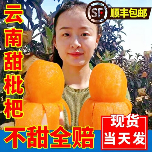云南甜枇杷现摘大果5斤
