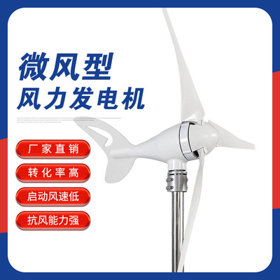 100W小型风力发电机微风启动风能太阳能风光互补离网系统路灯家用