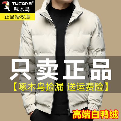 啄木鸟立领羽绒服男冬季新款加厚防风保暖白鸭绒亮面免洗潮流外套