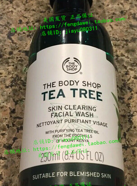 The Body Shop Tea Tree Skin Clearing Facial Wash, 8.4 Fl Oz