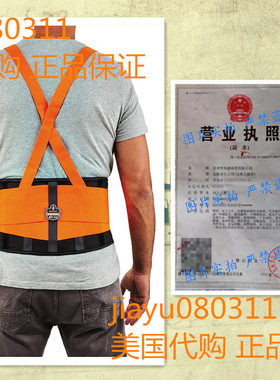 Ergodyne ProFlex 100HV Back Support Brace, High Visibility S