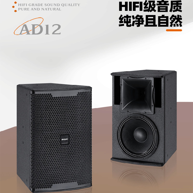 SKUK AD12前导专业音箱重低音家庭会所影音室舞台演唱卡拉OK专用