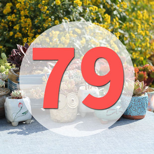 直播专用链接79号