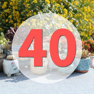 直播专用链接40号