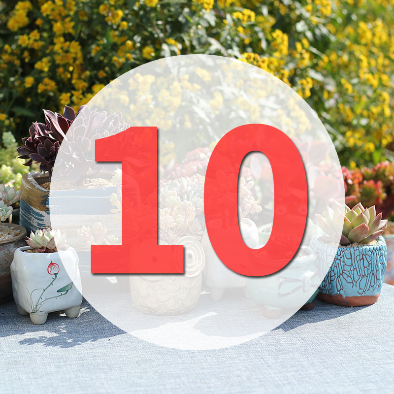 直播专用链接10号