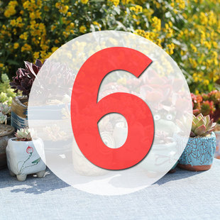 直播专用链接6号