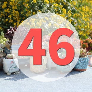 直播专用链接46号