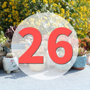 直播专用链接26号