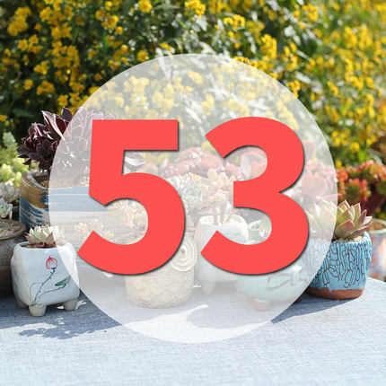 直播专用链53号