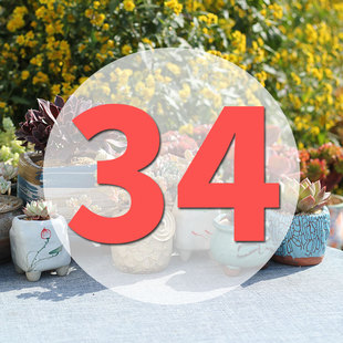 直播专用链接34号