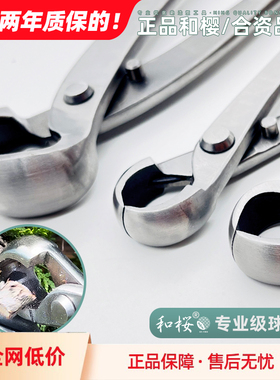 和樱球节剪盆景修剪造型专用工具大号球形型剪刀不锈钢修枝钳套装