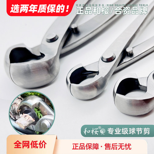 两年质保和樱球节剪限时减10元