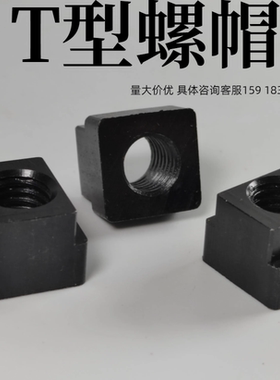 T型螺帽NTS3/NTS4/NTS5/NTS6/NTS8/NTS10/NTS12NTS16