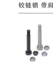 铰链销带肩螺帽固定型CLBDG