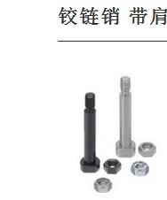 铰链销带肩螺帽固定型CLBDG CLBDGHSCLBDGCLBGN CLBGHN PCLBGN