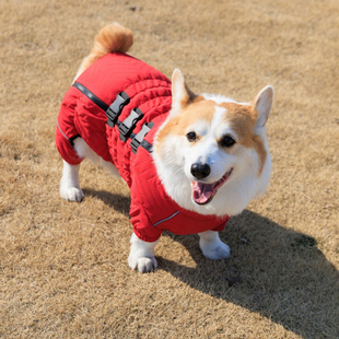 柯基狗狗四脚衣服护肚冬季保暖加厚棉服防风防水中型犬宠物衣服
