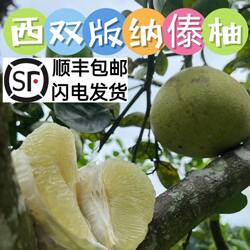 西双版纳傣柚东试早水晶蜜柚子当季孕妇水果翡翠柚子白肉顺丰包邮
