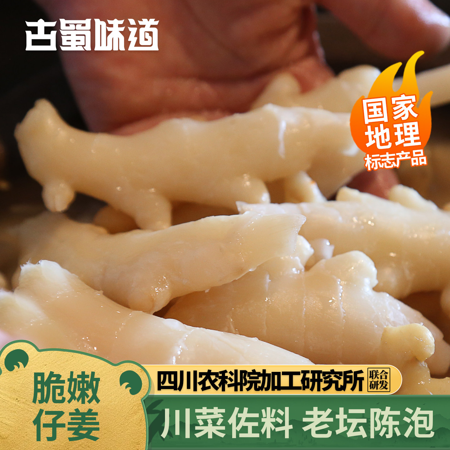 古蜀味道泡姜泡仔姜泡嫩姜片子姜下饭菜四川新繁泡菜泡生姜酸姜