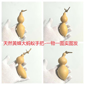 天然黄蜂大蚂蚁肚葫芦手捻小尖肚文玩手把盘玩响籽一物一图实图发