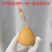 天然胖墩葫芦手捻盘玩随身手把文玩居家摆件一物一图实图发货 包邮