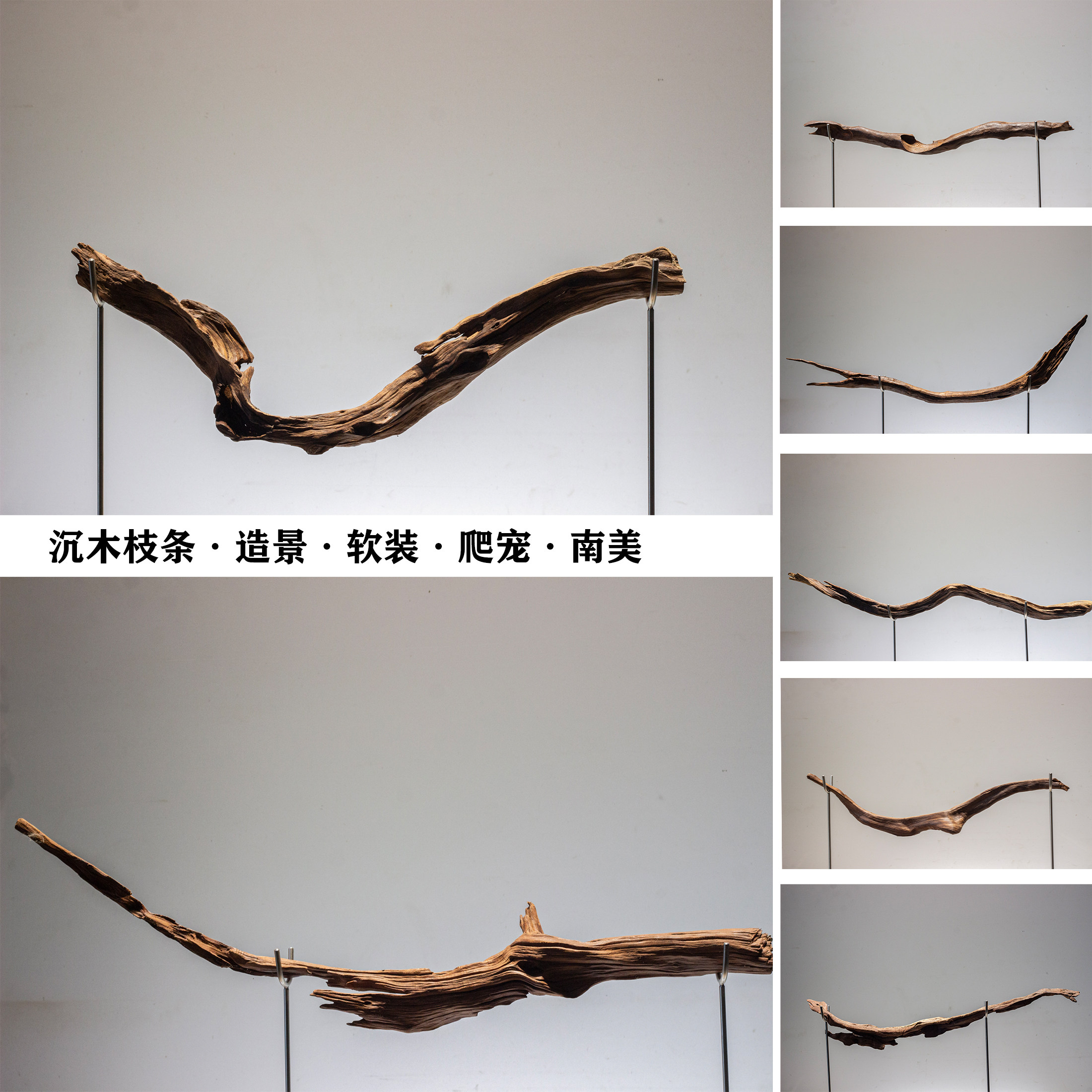 源也一物一拍所见即所得枝条沉木图片