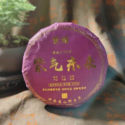 2023年头春野生紫娟紫气东来生普饼茶云南大叶种200g生普送礼佳品