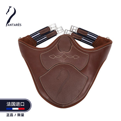 antares马术肚带围兜带进口真皮