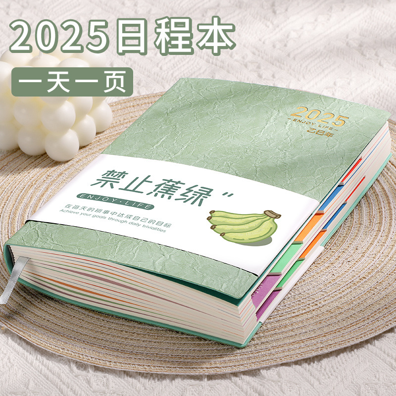 2025年日程本计划表一日一页效率手册每日计划本笔记本本子todoli