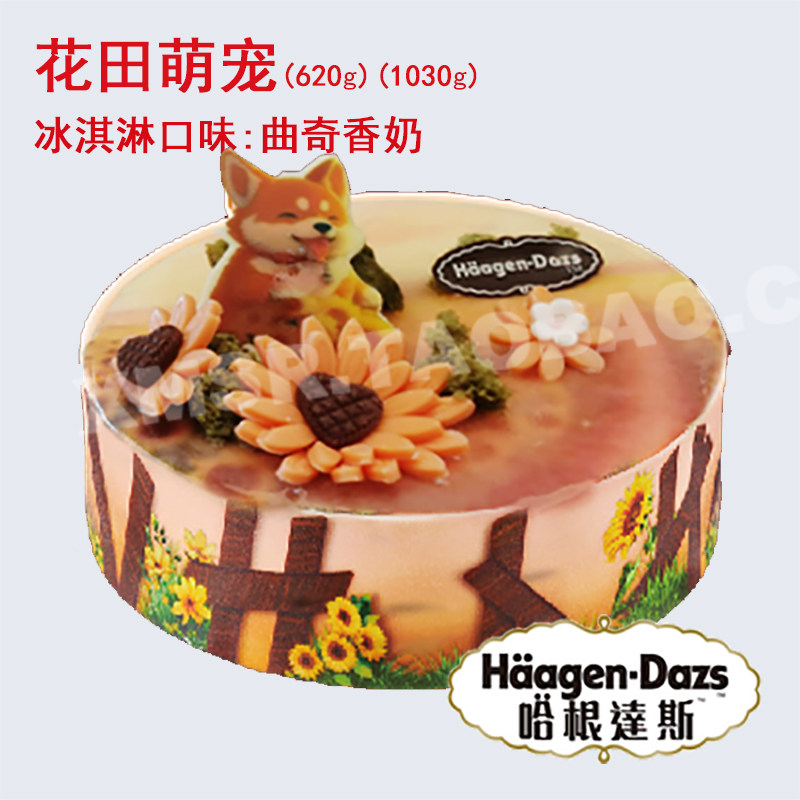济南重庆洛阳沈阳成都厦门福州哈根达斯冰淇淋生日蛋糕花田萌宠