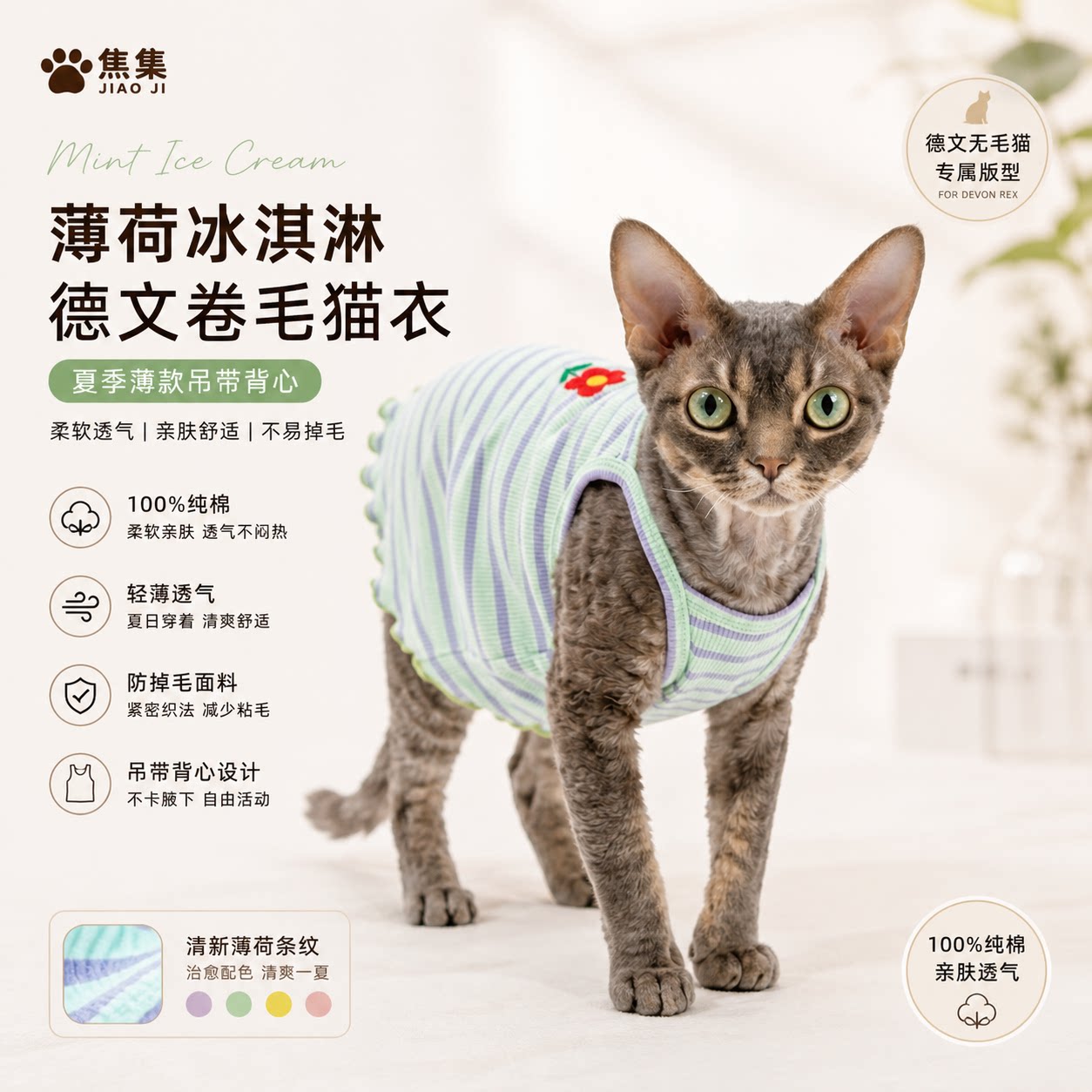 德文卷毛猫衣服纯棉吊带背心