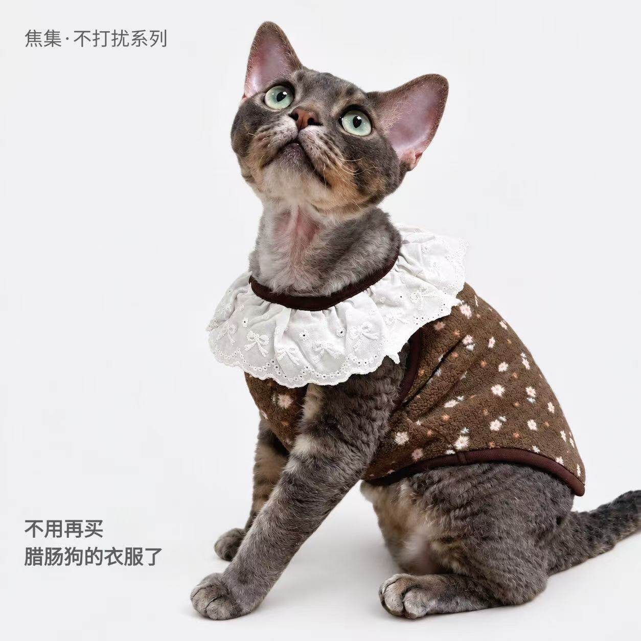 宠物衣服猫咪秋冬加绒背心保暖